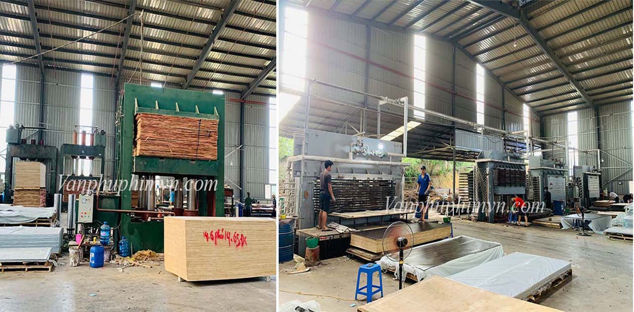 Quy trình sản xuất sản ép phủ phim