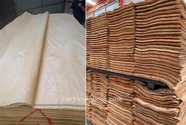 Cách phân loại ván phủ phim.